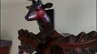 Jam KIKUK BiRDIE Japan 1980 an, cek Suaranya Gaes