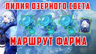 Лилия Озёрного света. Прокачка Фурины. Маршрут Фарма [Genshin Impact]