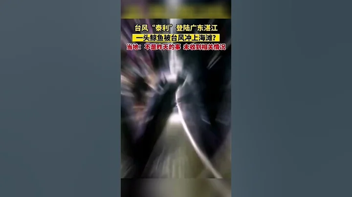 台风“泰利”登陆湛江，一头鲸鱼被冲上海岸？当地回应：未收到相 #shorts #上海 #热门 #热点 - 天天要闻