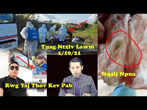 Video: Yog Leej Twg Muaj Xov Xwm Ntawm Channel 1