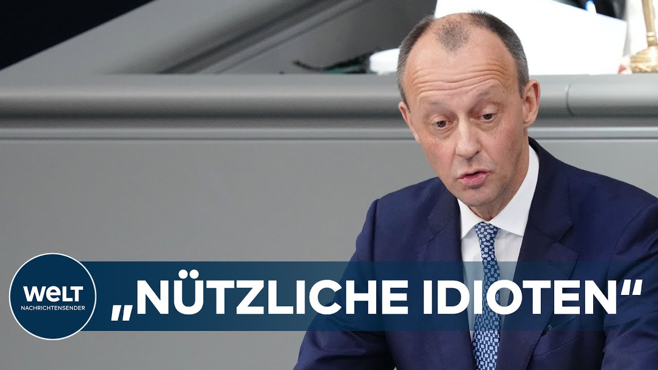 Nützlicher Idiot Merz