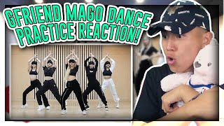 FIRST TIME REACTING TO GFRIEND (여자친구) ‘MAGO’ Dance Practice![REACTION]