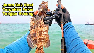 Bahaya..!! Jangan Coba-coba Tarik Ikan Pakai Tangan Kosong Bisa-bisa Tangan Anda Terluka