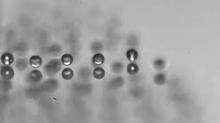 Water droplets levitating over the water surface (side view)