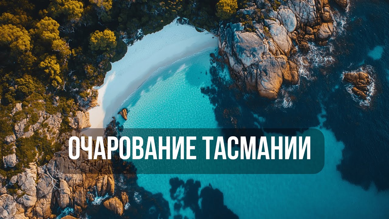 Секреты острова: Тасманский дьявол и его соседи