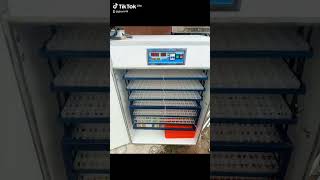 British Brand batteries+ quality Victron MPPT Solar Charge Controller+ Quality Solar Incubators