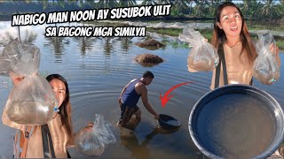 Download Lagu NABIGO MAN NOON PERU SUSUBOK ULIT SA BAGONG SIMILYA MP3 Download Lagu NABIGO MAN NOON PERU SUSUBOK ULIT SA BAGONG SIMILYA MP3