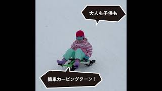 LPG エンダモロジーキーモジュール正規品　ボディーベッド　 ローラー3個付き EzyRoller（イージーローラー） スノーキット ソリに変更可能！