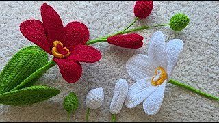 ORQUÍDEAS a crochet 🌺 tutorial aquí en el canal SUSCRIBETE #crochet #diy #ganchillo #like