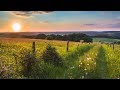 Peaceful music, Relaxing music, Instrumental music "Quiet Pastures" by Tim Janis