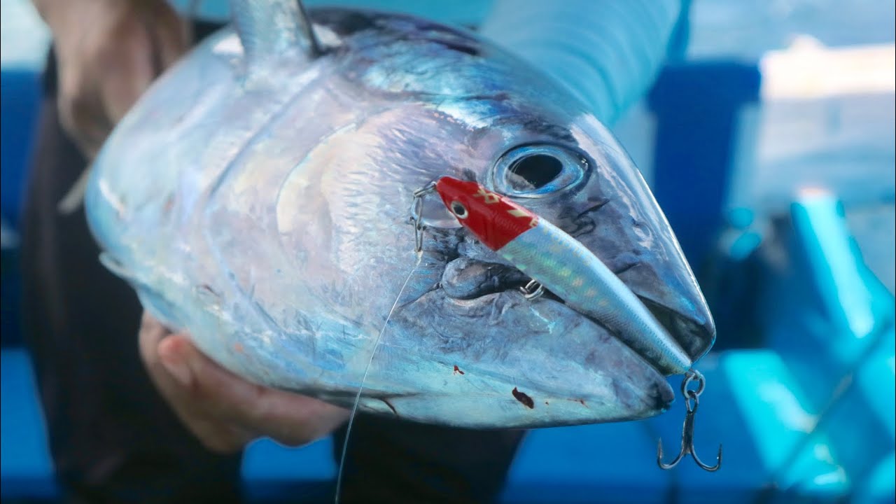 UMPAN LURE DENGAN KAIL TERKUAT, YAKIN BISA ANGKAT IKAN SIZE BABON!