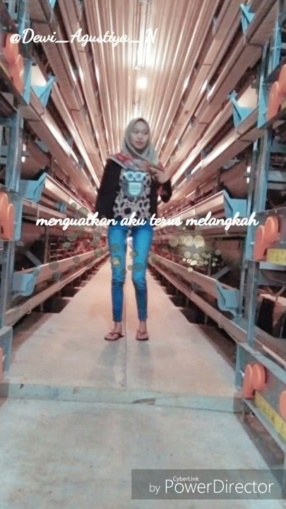 #viral #storywa #statuswa kepastian rasa ZBI CREW