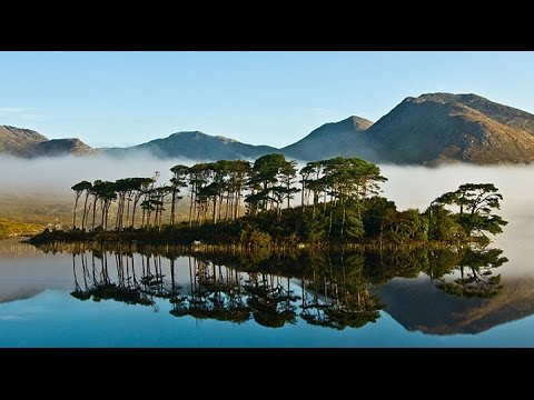Video: Isola d'Irlanda: natura, flora e fauna