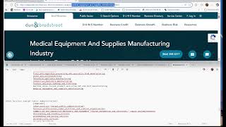 2025 09 30 Episode 9 - Generating an Information Source from Dun &amp; Bradstreet for Business Industry
