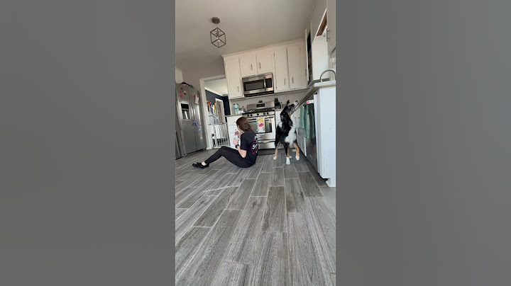 Heartwarming Moment Between Woman and Her Loyal Dog