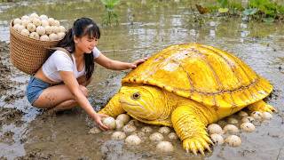 Quick Harvest: Abundant Eggs from Muscovy Ducks and Rare Turtles - From Harvest to Village Market