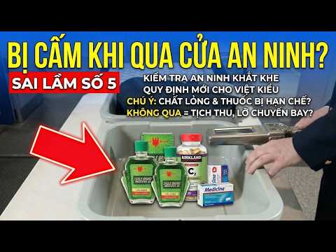 Việt Kiều Chú Ý: 4/2026 Tuyệt Đối Không Làm 9 Điều Này Tại Cửa An Ninh Sân Bay