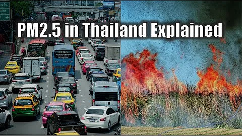 PM2.5 in Thailand Explained | The role of pre-harvest sugarcane burning in air pollution - DayDayNews
