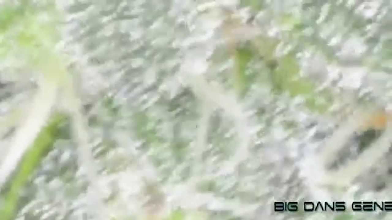 Phantom Stomper in 4k Ultra HD