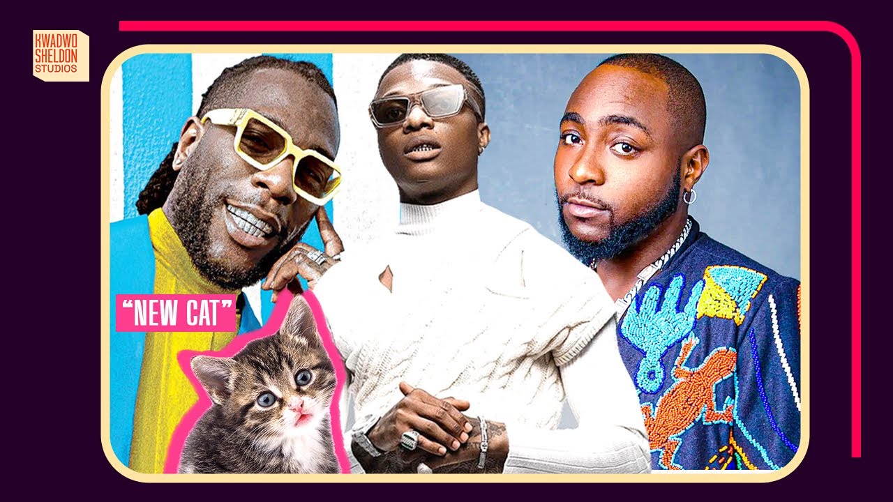 'Such disrespect' - Mixed reactions as Davido calls Burna Boy 'new cat'