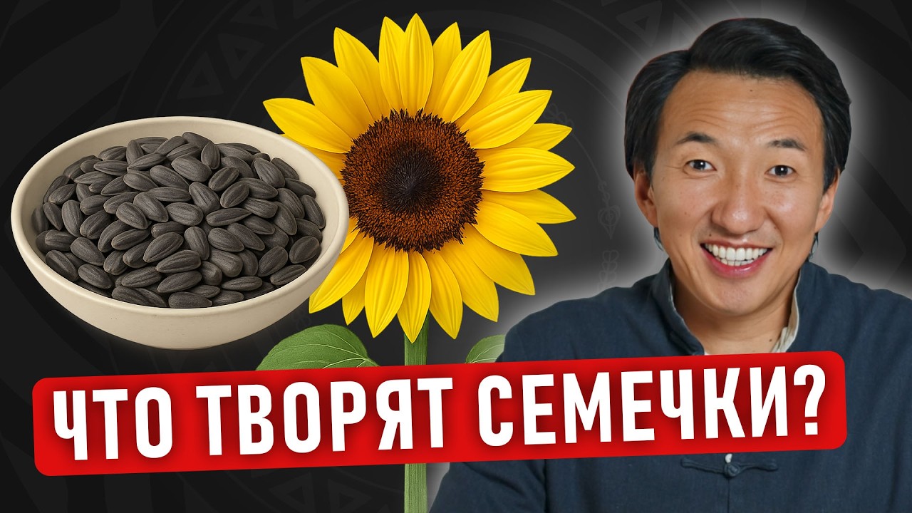Что скрывают СЕМЕЧКИ ПОДСОЛНУХА? Спойлер: МНОГОЕ! // 