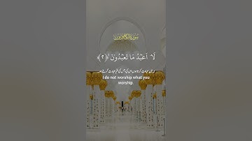 سورة الكافرون #الكافرون #المصحف ء#تلاوة_خاشعة #راحة_نفسية