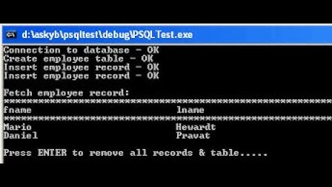 C++ different operations on database PostgreSQL