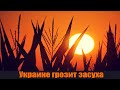 Украине грозит засуха