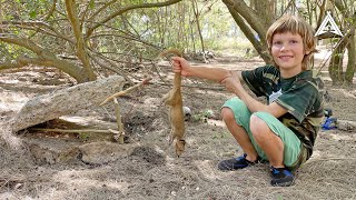 Invasive Mongoose Catch and Cook Using Primitive Deadfall Method