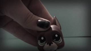 Doubt |LPS mv