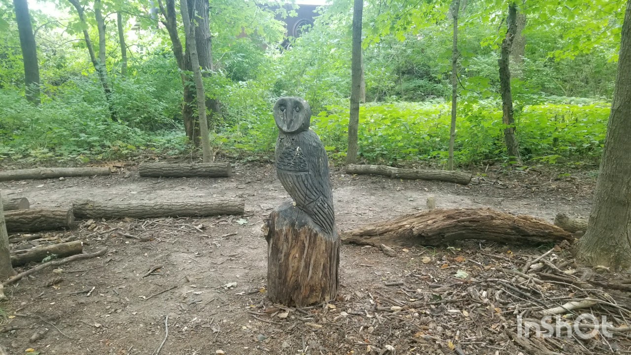 Funks Grove Nature Preserve