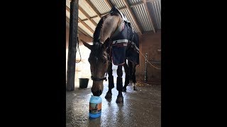 ISO-Tite™ Gel Liniment