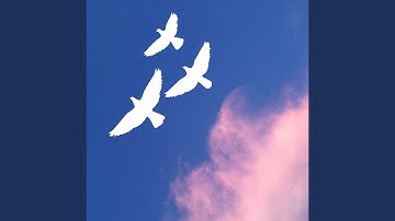 High Class Backdrops for Night-Time Reflections