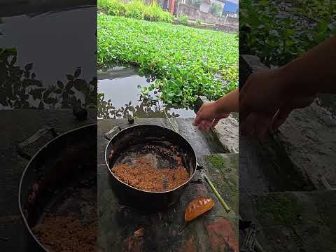 Thêm một ao bèo tiềm nămg #caođàitổng #fishing #đồngquê