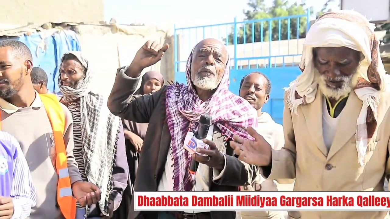 Gargarsa || Harka qalleeyyiif Yayiimaa || @DambaliMedia @Tajurawado123 