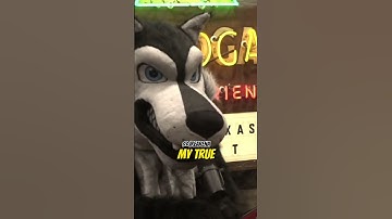 Joe Rogan Duncan Trussell come out as furries #shorts