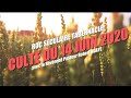 ROC SECULAIRE TABERNACLE - SERVICE DU 14 JUIN 2020