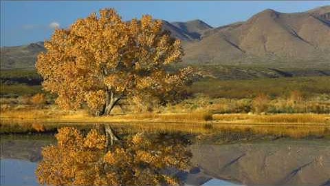 سورة القارعة بصوت القارئ خالد الجليل