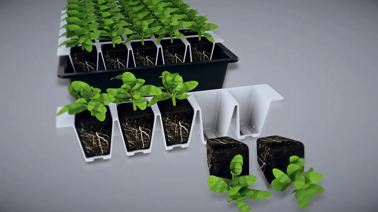Bustaseed Ltd's Reusable Tip Out Trays Promotional Video