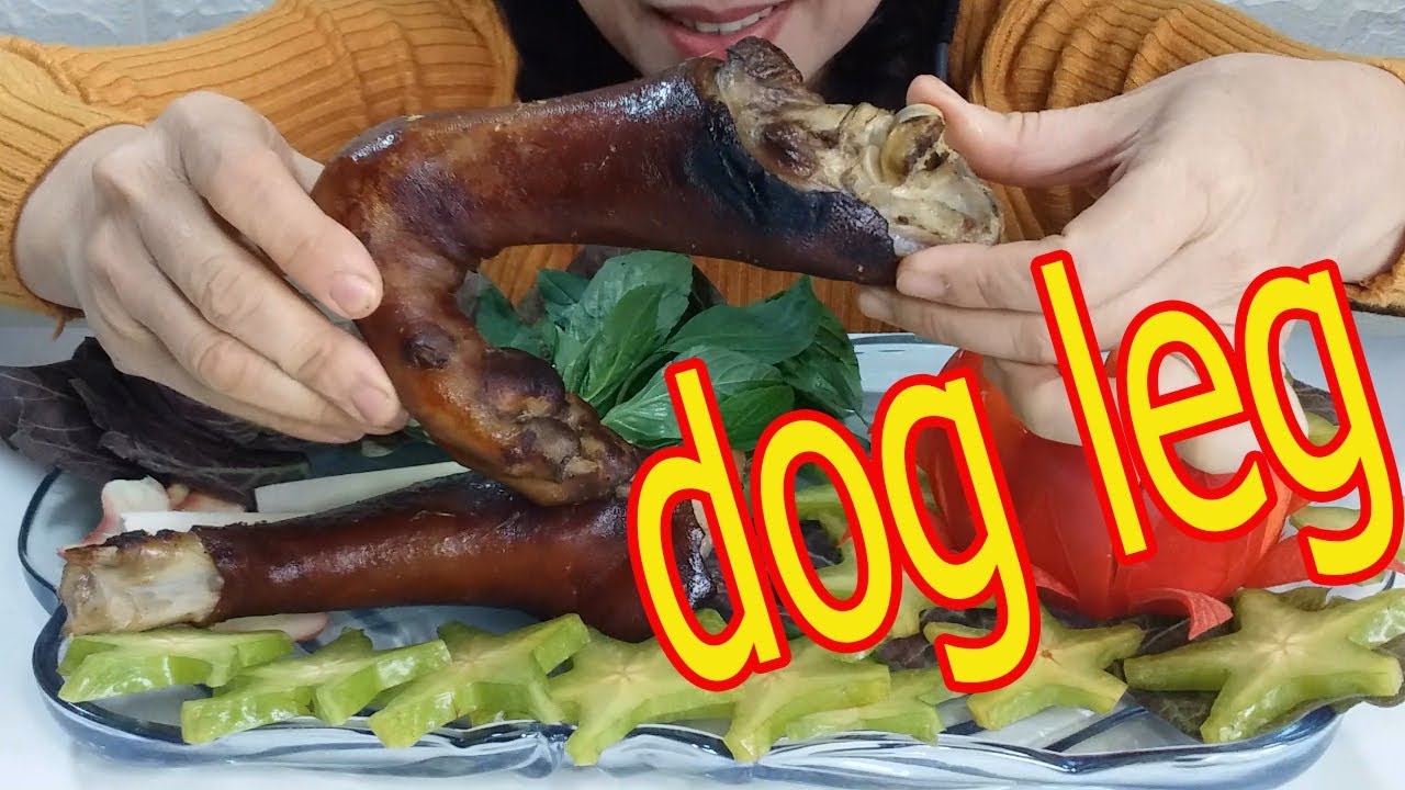 Asmr Dog Leg Exotic Sounds Eat Delicious No Talking Vi Asmr Youtube