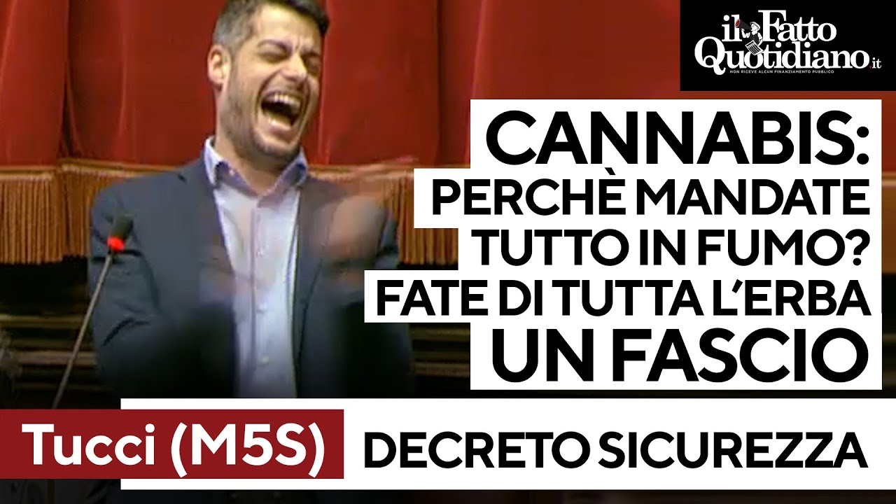 Contro il decreto sicurezza interventi fino all'alba. Tucci: 