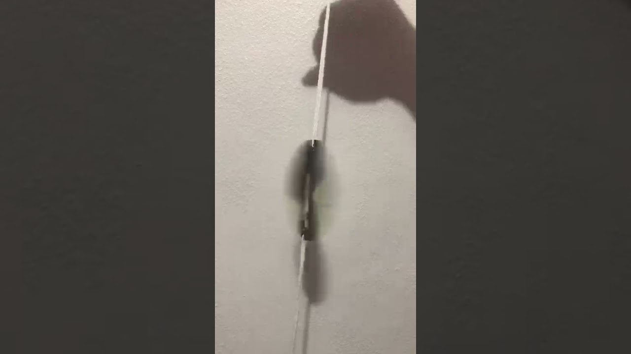 Taumatropo - Pamela Sanchez