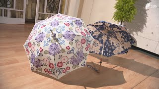 動画ニュース
