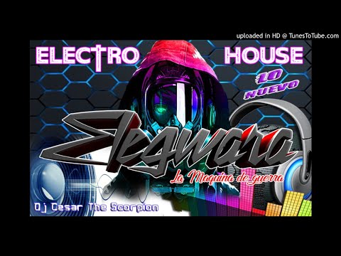 01 ELECTRO ELEGWARA