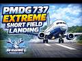 Extreme Short Field Landing 737