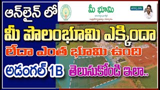 How to check land records  online in telugu new website  Andhra pradesh || Mee Bhoomi Adangal 1B screenshot 5