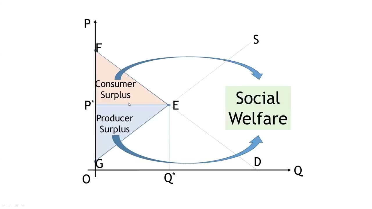 Consumer Surplus Producer Surplus and Social Welfare Abdullahil Mamun