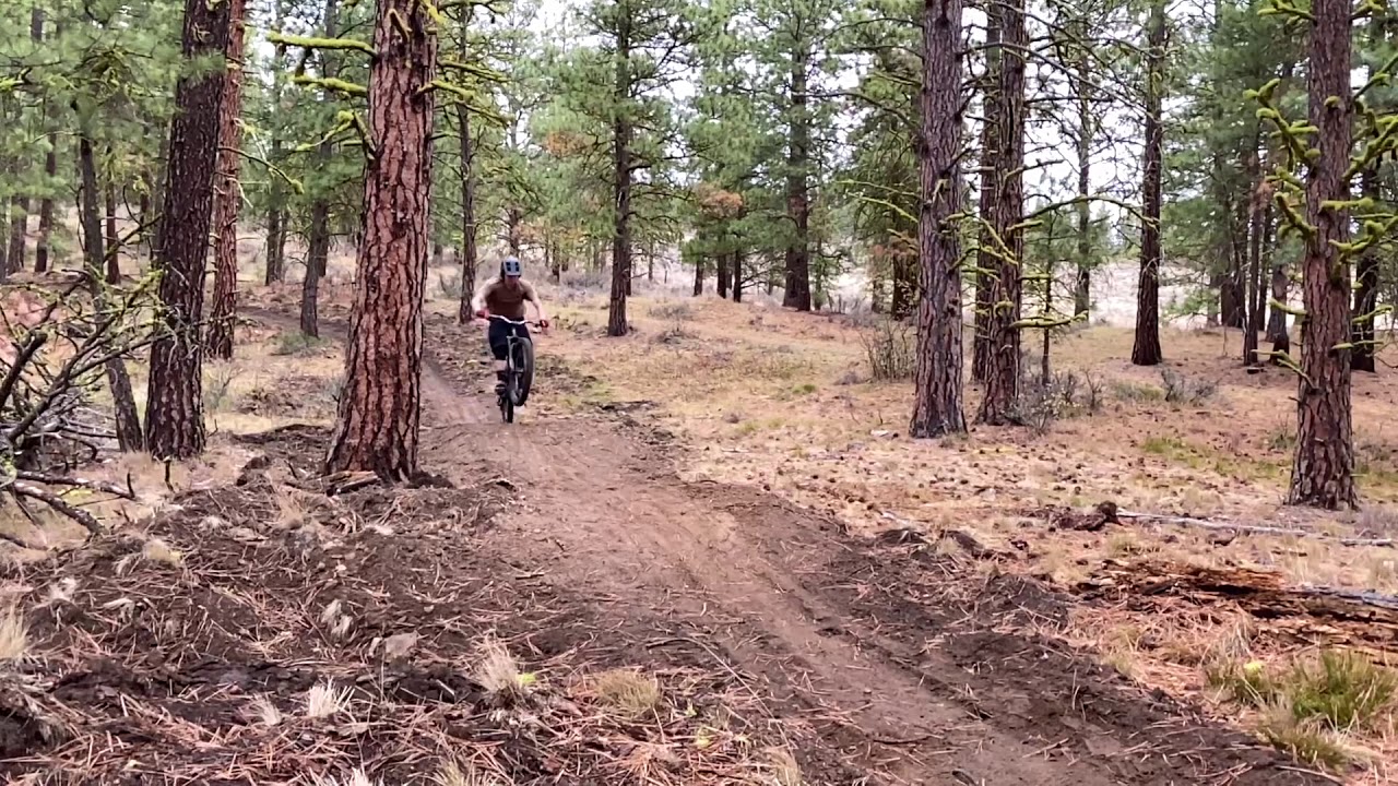 Preview of what’s to come in Cooke Canyon (Naneum)