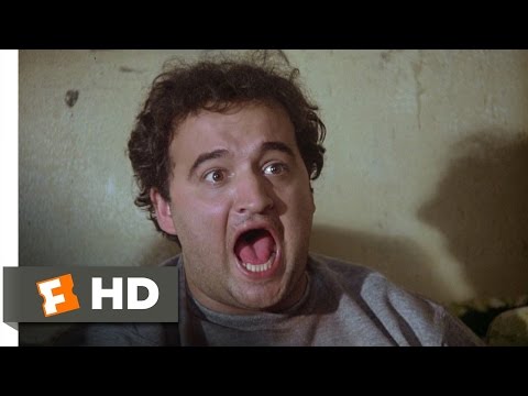 Toga! Toga! Scene - Animal House Movie (1978) - HD