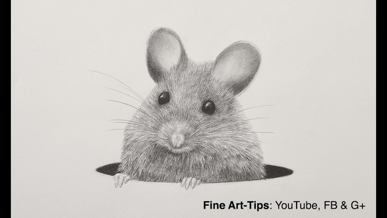 How to Draw a Cute Mouse In Six Steps : Learn To Draw